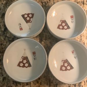 Japanese rice bowls